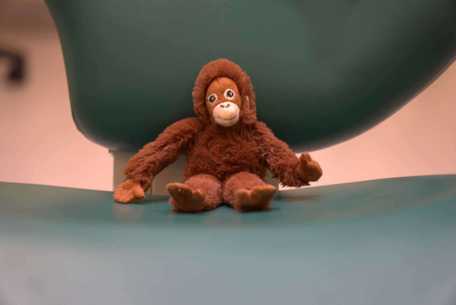 image with a monkey
